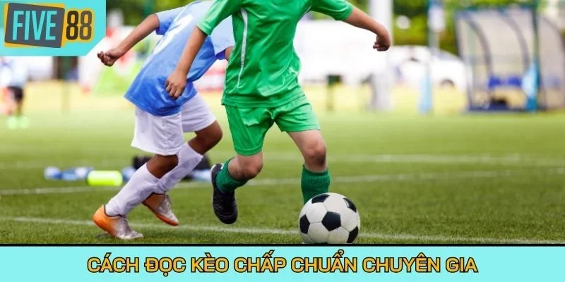 Cách đọc kèo chấp chuẩn chuyên gia
