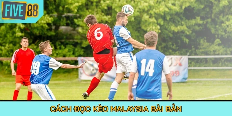 Cách đọc kèo Malaysia bài bản