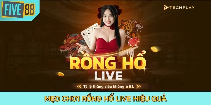 Mẹo chơi Rồng Hổ live hiệu quả