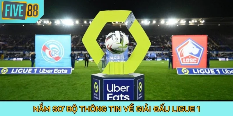 Nắm sơ bộ thông tin về giải đấu Ligue 1