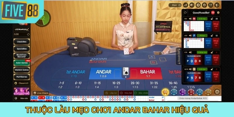 Thuộc làu mẹo chơi Andar Bahar hiệu quả