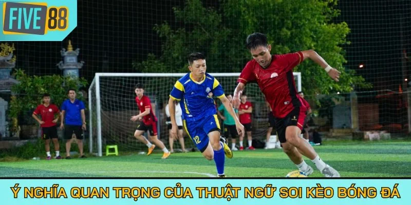 Ý nghĩa quan trọng của thuật ngữ soi kèo bóng đá